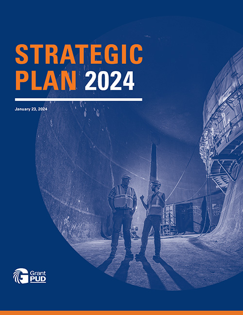 2024.02.01 strategic plan web Cover